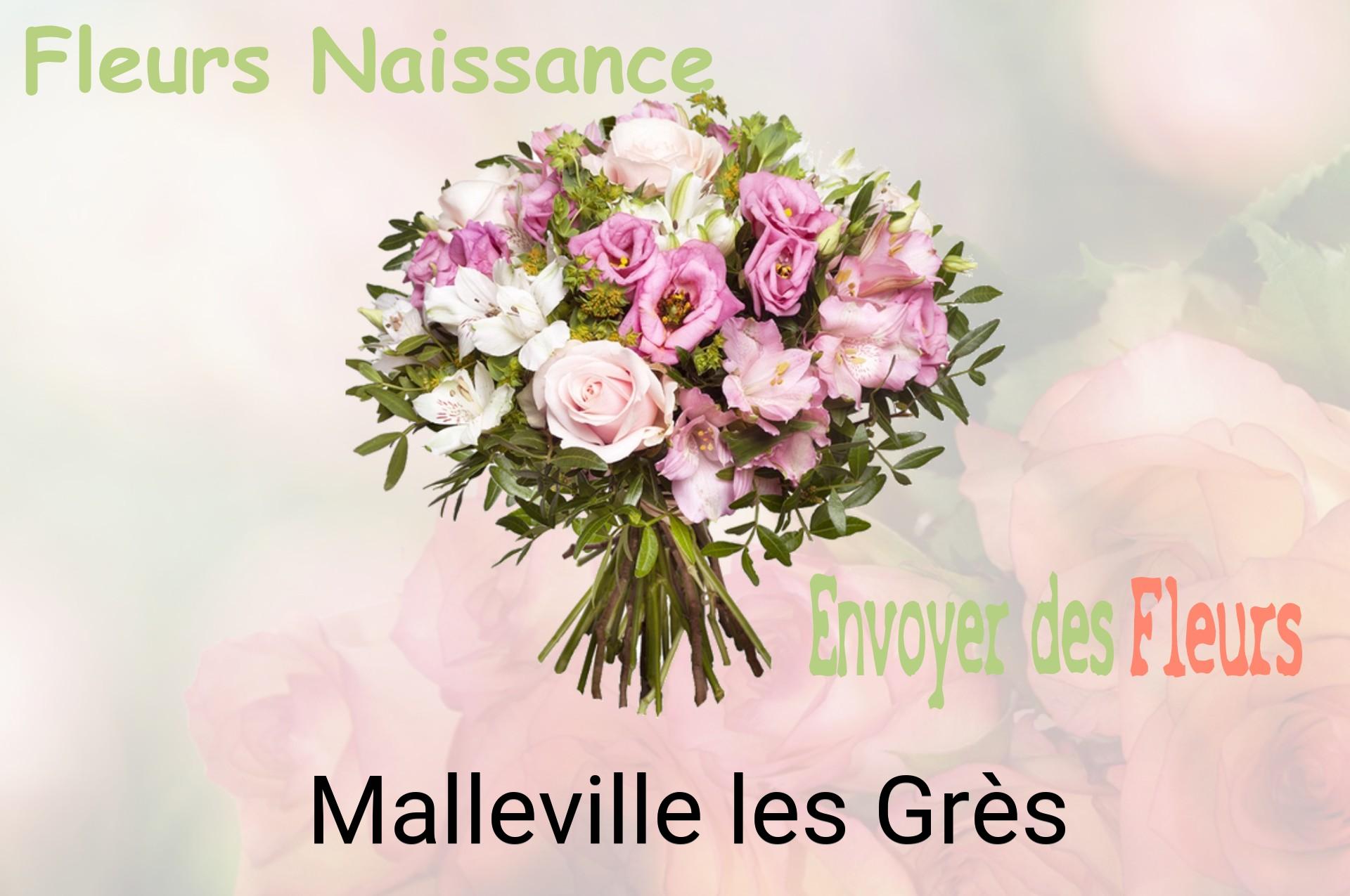 Bouquet de fleurs de naissance livré à Malleville-les-Grès