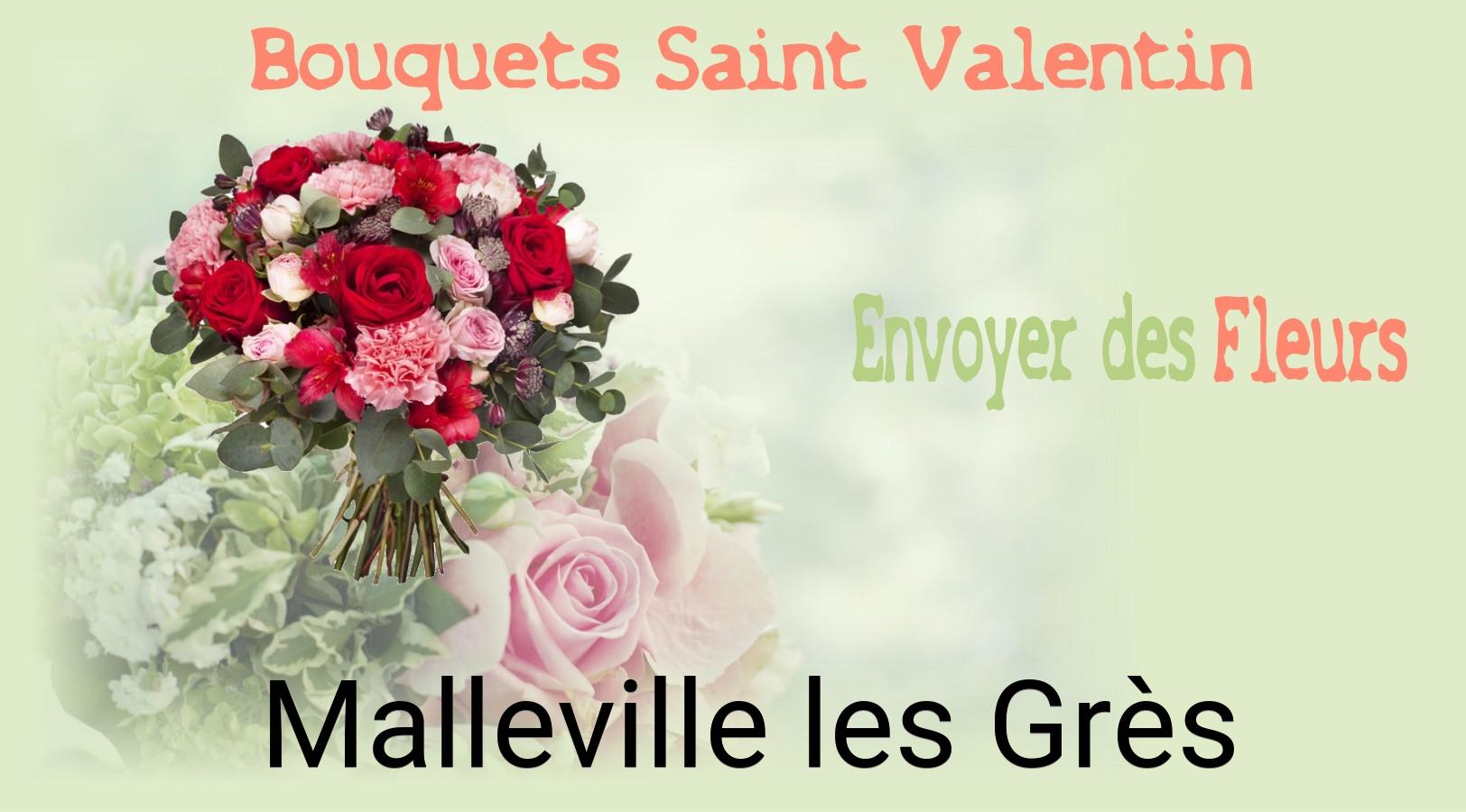 Roses de Saint-Valentin livrées à Malleville-les-Grès