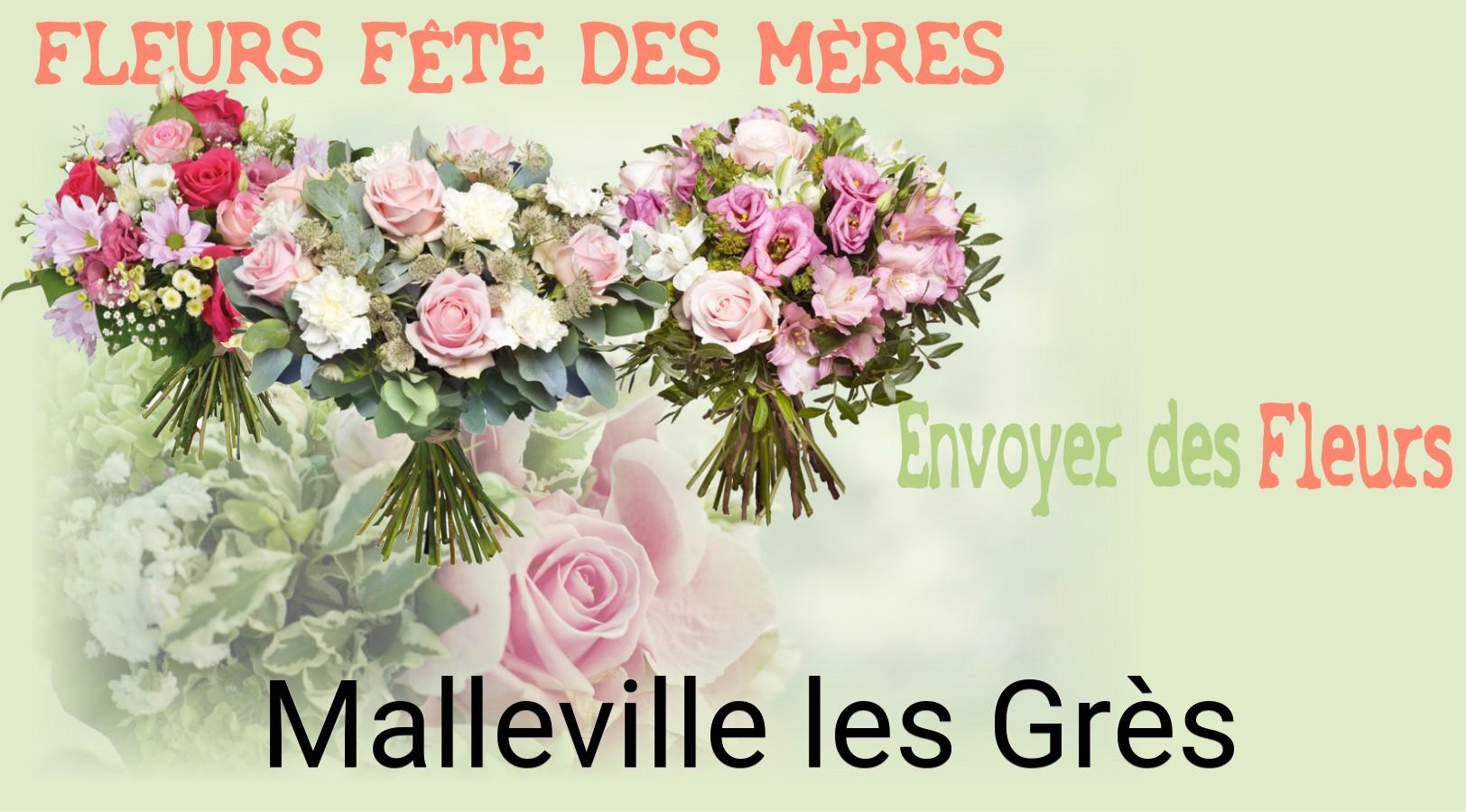 Bouquet de Fête des Mères livré à Malleville-les-Grès